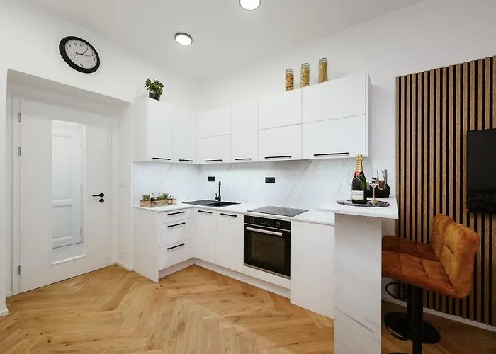 Luxury Musicians Apartment In Central Prague By Metro Vysehrad